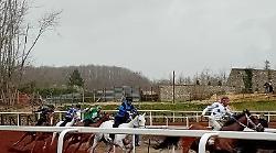 Corse di cavalli a pelo: Anda e Bola illumina la giornata al parco equestre