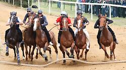 Palio di Siena, a Mociano è subito Zio Frac contro Anda e Bola