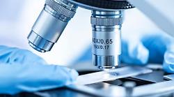 Biotecnopolo, mozione in Regione: "Servono più fondi, Siena può salvare l'Italia e non solo da future pandemie"