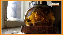 Sorsi di Benessere - Una tisana della sera