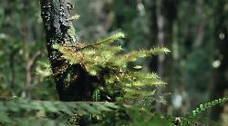 Il cambiamento climatico minaccia la biodiversit&agrave;