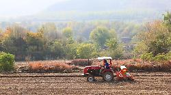 Cina, produzione di cereali in crescita anche nel 2026 secondo le previsioni