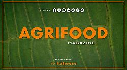 Agrifood Magazine - 6/5/2026