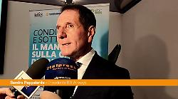 ITA, Pappalardo "Per 7-8 mesi ok con carburante. Sicilia cliente importante"