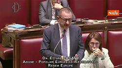 Rosato (Azione): A Gaza situazione inaccettabile, Governo italiano passi ai fatti