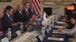 Premier Giappone dona a Trump 250 ciliegi e fuochi d'artificio per anniversario fondazione Usa