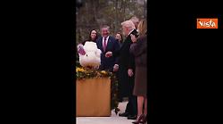 La carezza di Trump al tacchino Waddle durante la cerimonia di grazia alla Casa Bianca