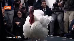 Il ringraziamento su Camera con Vista su La7 di Alexander jakhnagiev