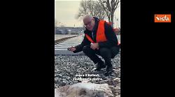 Sopralluogo Gualtieri cantiere tramvia Viale Palmiro Togliatti: Non vediamo l'ora di completarla