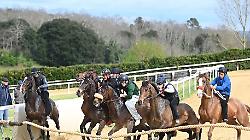 lavori di addestramento a Mociano