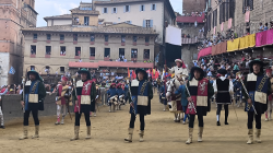 Palio di Siena
