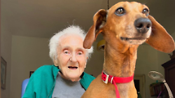 Giovanna Paesano Santioli