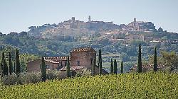 Montepulciano