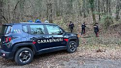 blitz dei carabinieri droga boschi