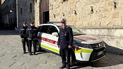 Guide turistiche abusive multate dalla Polizia locale