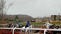 Corse di cavalli a pelo: Anda e Bola illumina la giornata al parco equestre