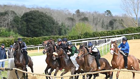 lavori di addestramento a Mociano