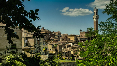 Siena panorama