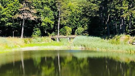 Laghetto verde di Abbadia San Salvatore