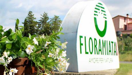 Floriamata
