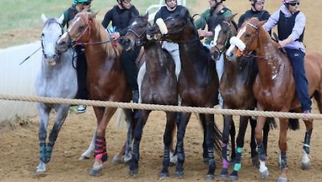 Mociano addestramento