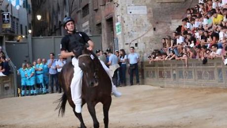 Palio, Bellocchio non ha dubbi: &ldquo;Zio Frac &egrave; una garanzia&rdquo;