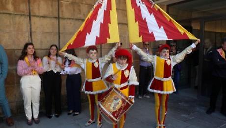 Montone con 51 forze in pi&ugrave;