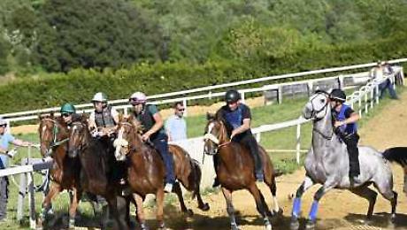 A Mociano un buon ritorno per Benitos: il cavallo si fa apprezzare