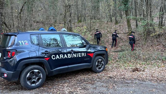 blitz dei carabinieri droga boschi