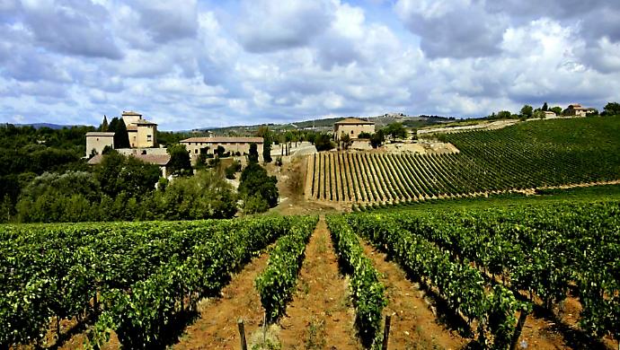 aziende vitivinicole toscane