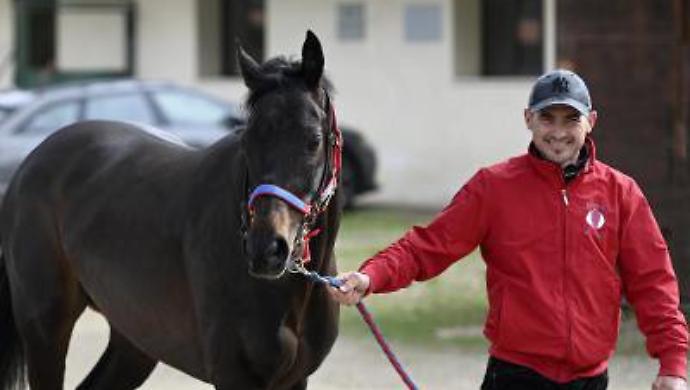 Gingillo vuole il lotto alto