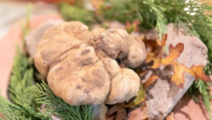 Citt&agrave; del Tartufo a confronto