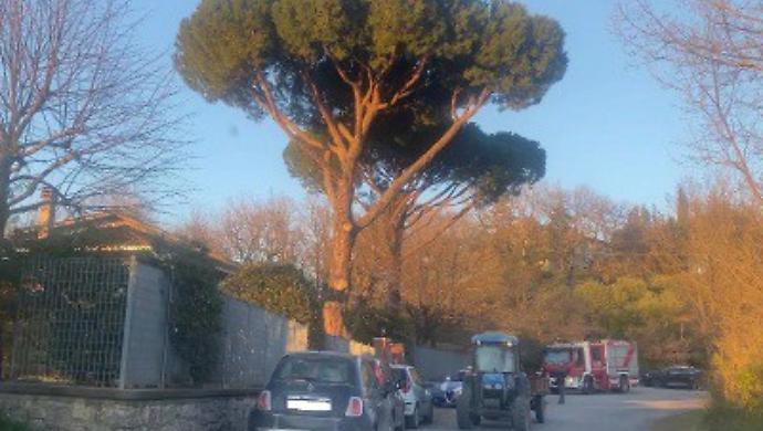 Tragico rogo, morti padre e figlio