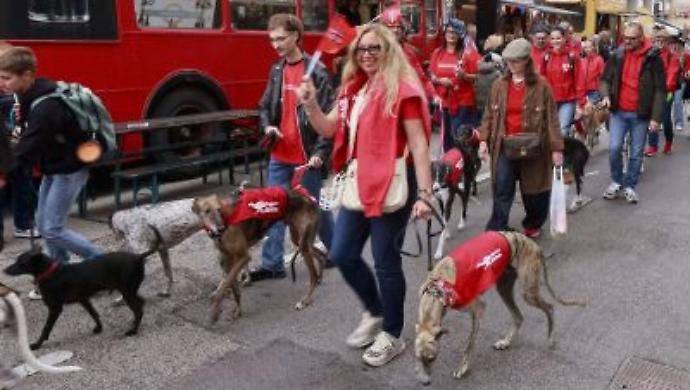 Una passeggiata in citt&agrave; per salvare i levrieri