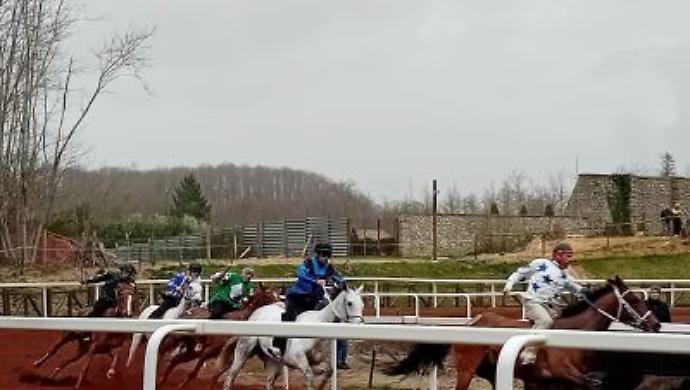 Corse di cavalli a pelo: Anda e Bola illumina la giornata al parco equestre
