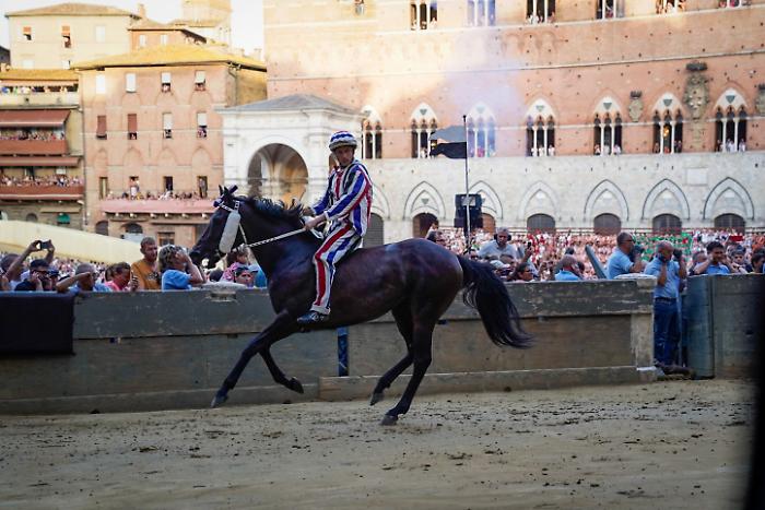 terza prova Palio di agosto 2024