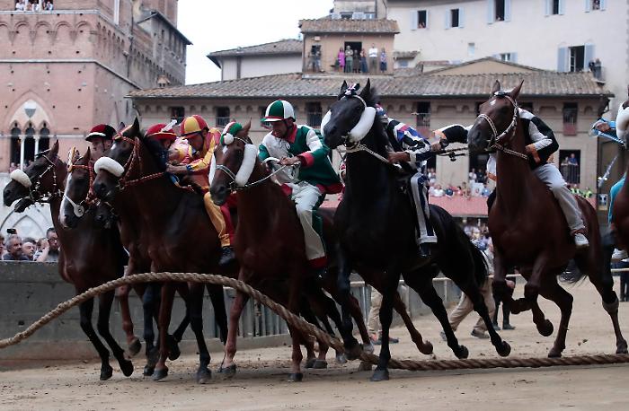 prova generale Palio agosto 2024