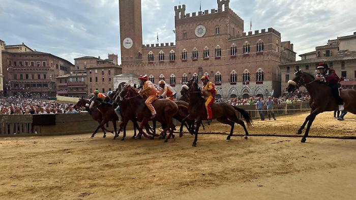 provaccia Palio agosto 2024