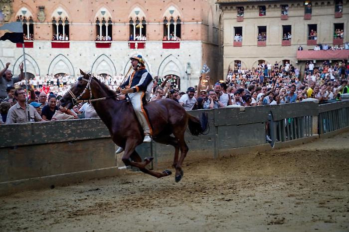 Palio agosto 2024