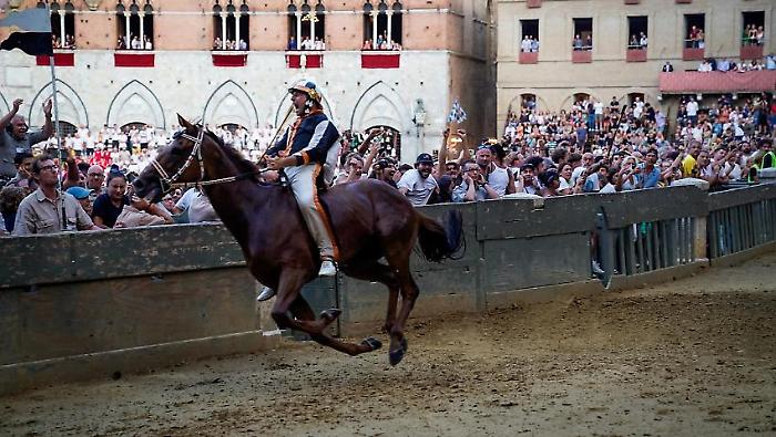 Palio di agosto 2024