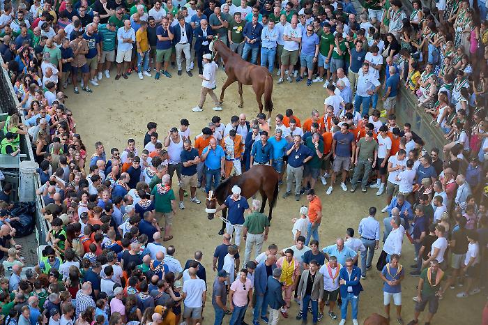 palio popoli prova