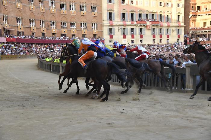 Palio 