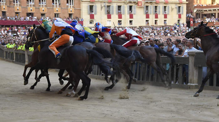Palio 