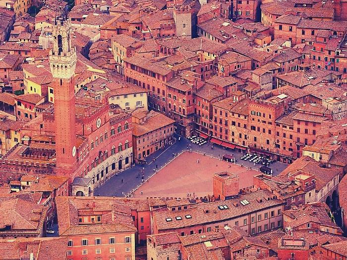 piazza del campo siena