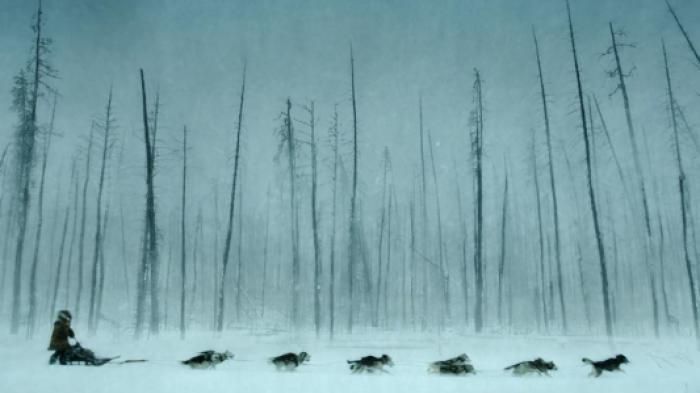 Togo. Una grande amicizia stasera in tv mercoled&igrave; 1&deg; gennaio su Rai 1: le anticipazioni del film ambientato nel Nord America