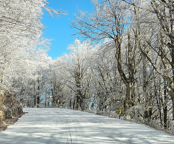 Amiata