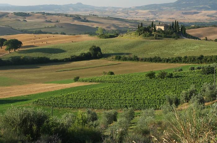 Valdorcia