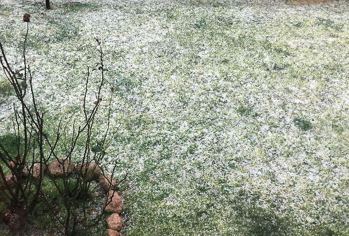 Meteo, intensa grandinata in parte delle province di Arezzo e Siena. Ora arrivano gelo e vento. Neve sui rilievi