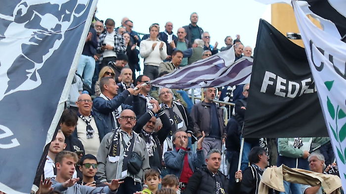 tifosi robur