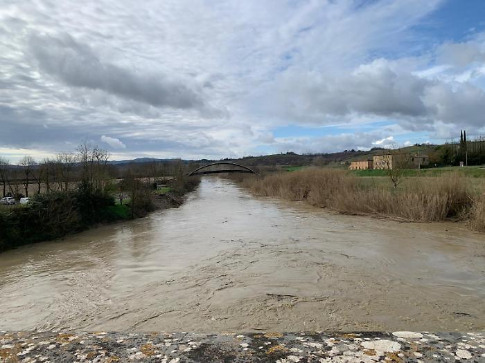fiume Arbia a Ponte d'Arbia